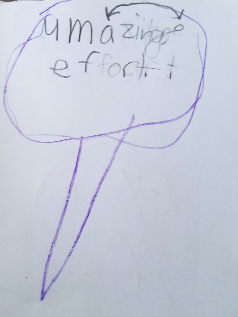 ...”amazing effort.”